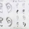 Charles Bargue Drawing Course Ears Louis Smith Art